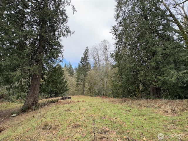 376 Beach Dr, Quilcene WA, 98376 land for sale