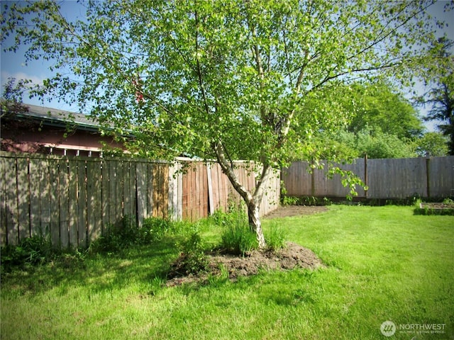 845 Schmid Rd, Grayland, WA 98547 - view of yard