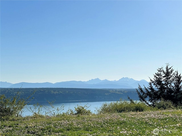 view of mountain feature with a water view