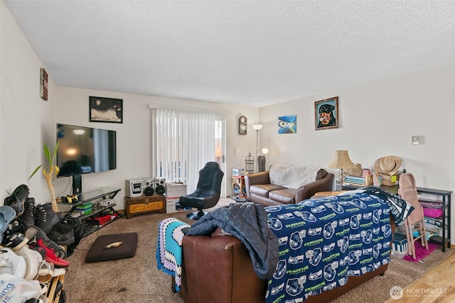 carpeted living room with a textured ceiling