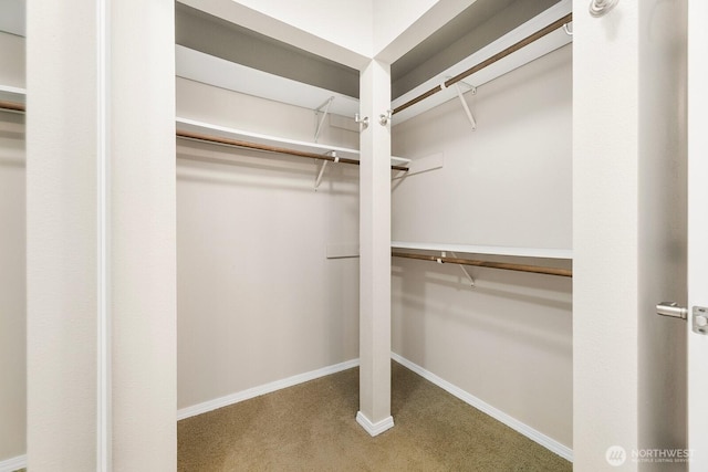 spacious closet with carpet floors