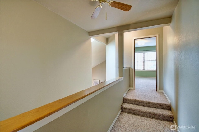 stairs featuring carpet and baseboards