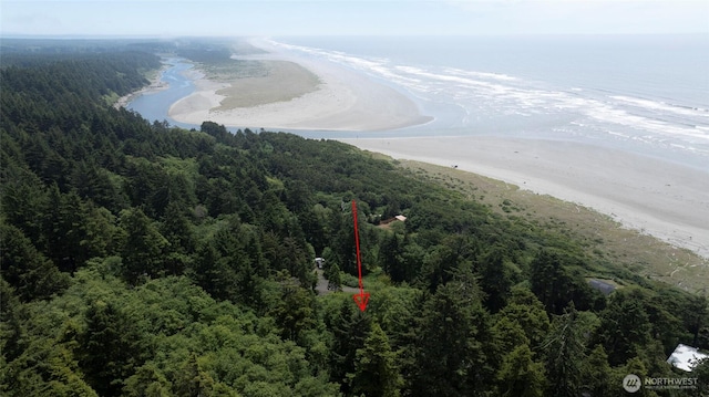 bird's eye view with a water view and a view of trees