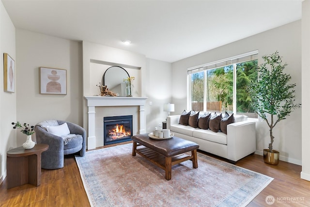 living room featuring wood finished floors, a fireplace, and baseboards