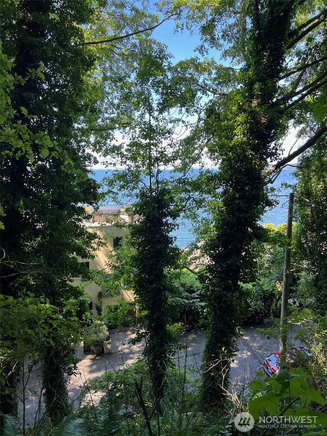 3276 NW Esplanade, Seattle, WA 98117 - photo 12