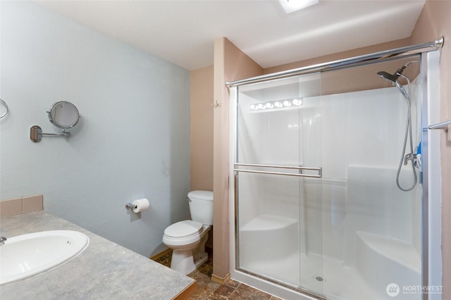 full bathroom featuring toilet, a shower stall, and vanity