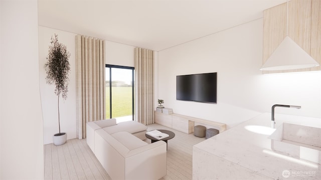 living area featuring light wood finished floors