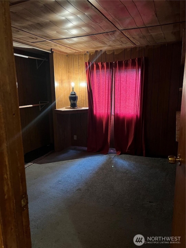 empty room featuring wood walls and carpet flooring