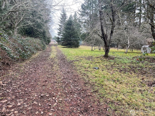 view of street featuring dirt driveway