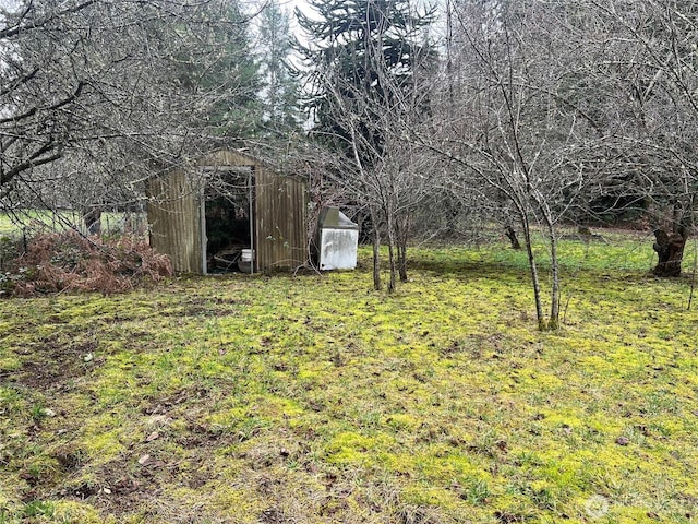 view of yard with an outbuilding and a storage shed