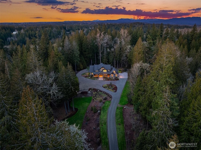 bird's eye view featuring a mountain view and a forest view