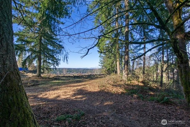 0 238th Ave E, Buckley WA, 98360 land for sale