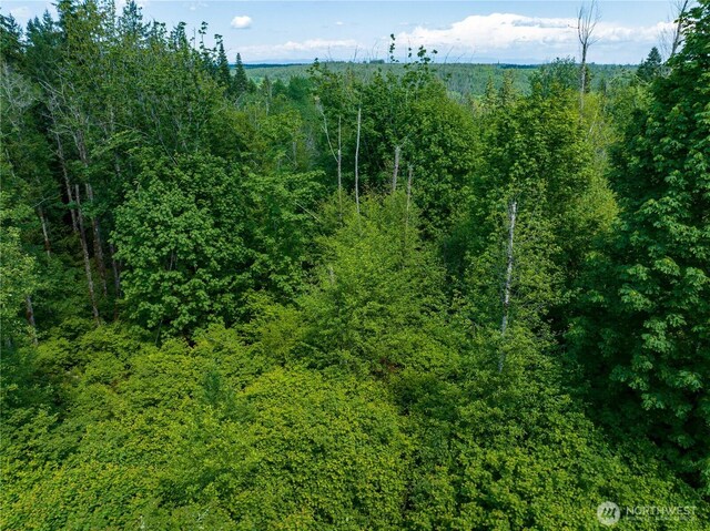 0 Valley Ridge Rd, Adna, WA 98532 - photo 1