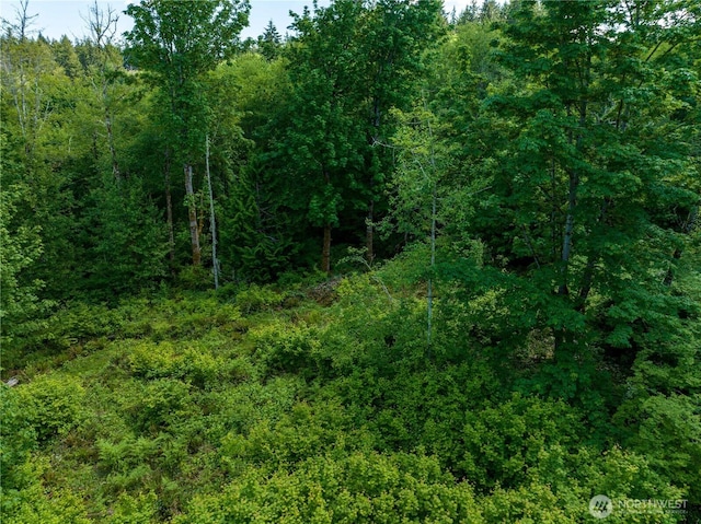 0 Valley Ridge Rd, Adna, WA 98532 - photo 2