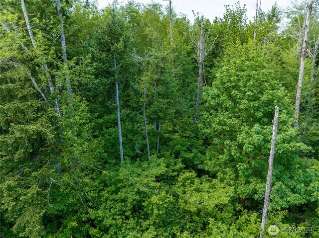 0 Valley Ridge Rd, Adna, WA 98532 - photo 3