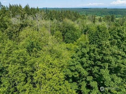 0 Valley Ridge Rd, Adna, WA 98532 - photo 4