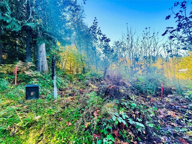 0 Valley Ridge Rd, Adna, WA 98532 - photo 5