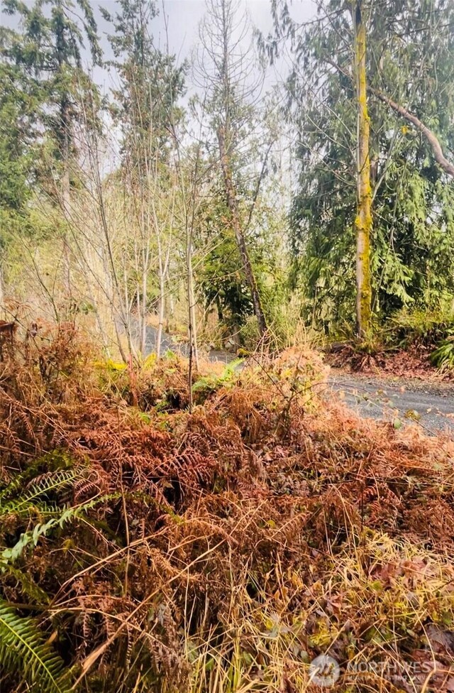 0 Valley Ridge Rd, Adna, WA 98532 - photo 8