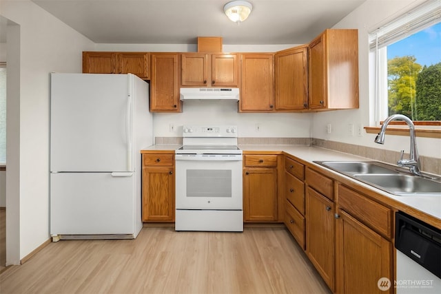 3802 Carpenter St, Mount Vernon, WA 98274 - kitchen featuring white appliances, under cabinet range hood, light wood-style flooring, and light countertops
