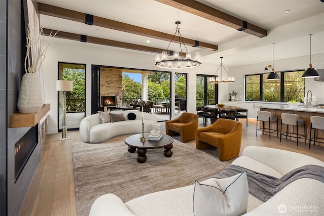 living room featuring a chandelier, a warm lit fireplace, beamed ceiling, and light wood-style flooring