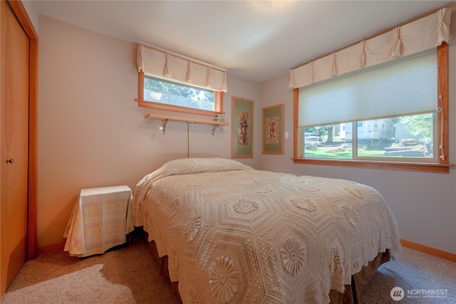 bedroom with multiple windows and baseboards