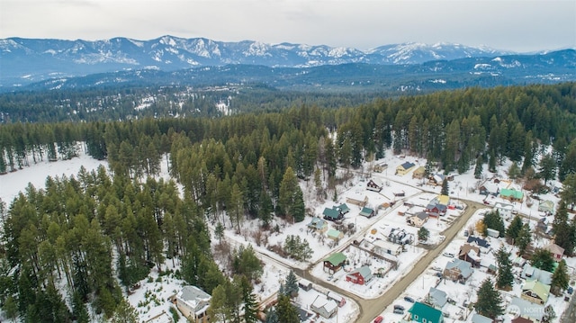 aerial view with a forest view and a mountain view