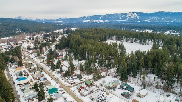 snowy aerial view with a forest view and a mountain view