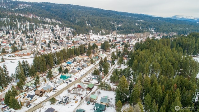 aerial view with a mountain view and a view of trees