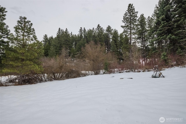 yard layered in snow with a forest view