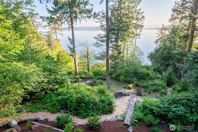 view of yard featuring a water view