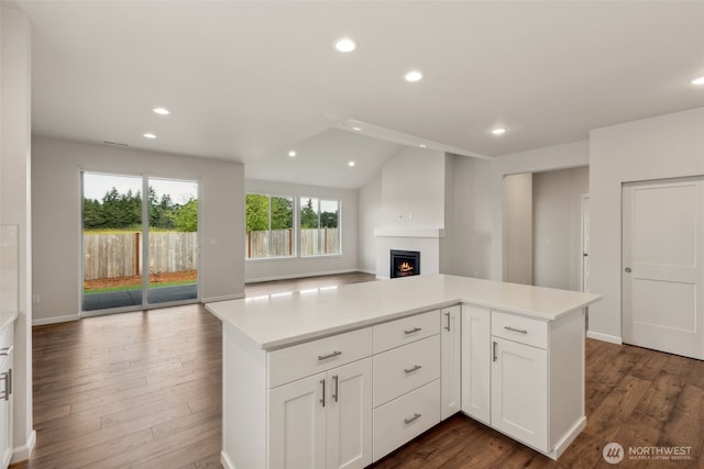 kitchen featuring dark wood-style floors, open floor plan, light countertops, and white cabinetry