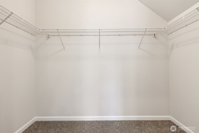 walk in closet featuring vaulted ceiling and carpet flooring