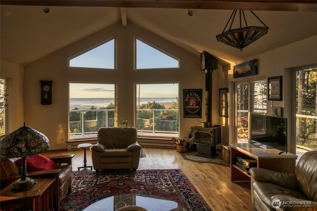 16 Koala Ln, Pacific Beach, WA 98571 - living room featuring wood finished floors and a wood stove