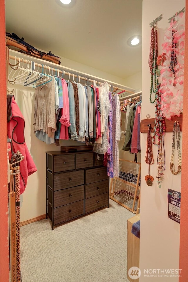 16 Koala Ln, Pacific Beach, WA 98571 - walk in closet featuring carpet floors