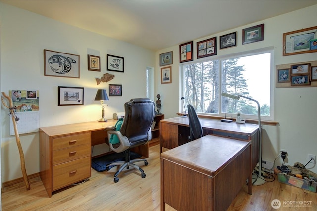 16 Koala Ln, Pacific Beach, WA 98571 - home office featuring light wood-style floors and baseboards