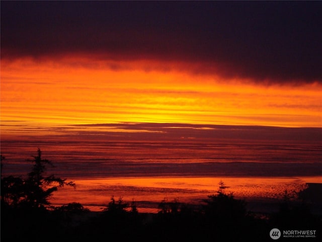 16 Koala Ln, Pacific Beach, WA 98571 - water view