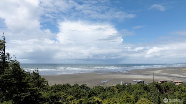 16 Koala Ln, Pacific Beach, WA 98571 - water view with local beach