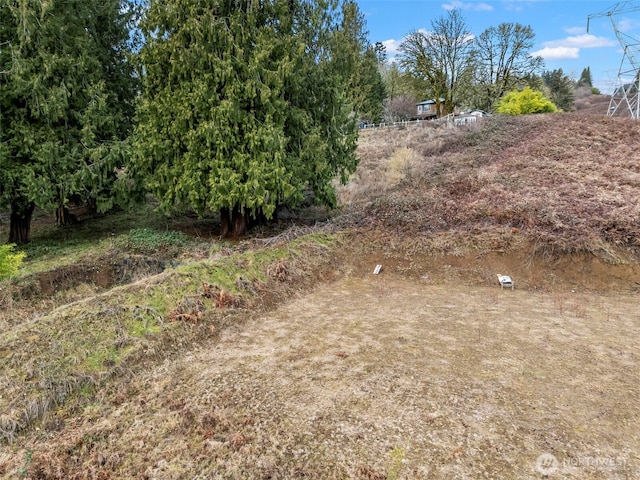 202 Redwing Rd, Woodland, WA 98674 - photo 37