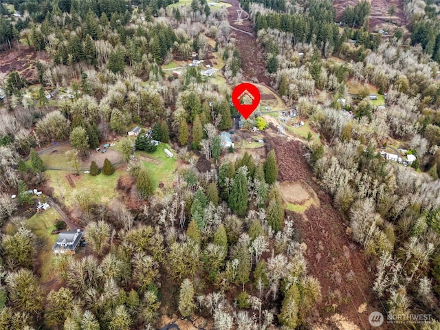 202 Redwing Rd, Woodland, WA 98674 - photo 40