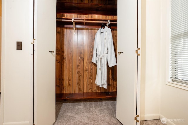 view of closet