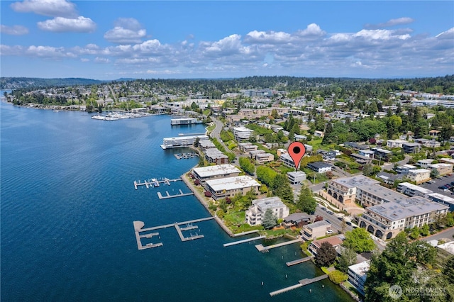 drone / aerial view with a water view