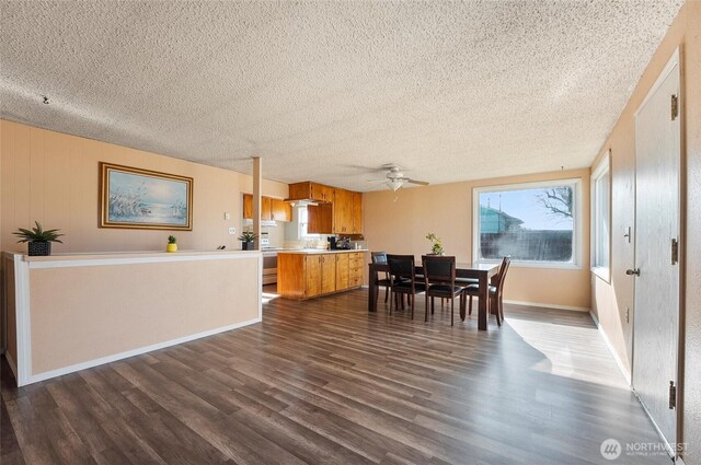 dining space featuring ceiling fan, a textured ceiling, baseboards, and dark wood-style flooring