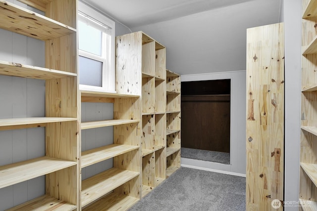 5122 S Brighton St, Seattle, WA 98118 - spacious closet featuring carpet