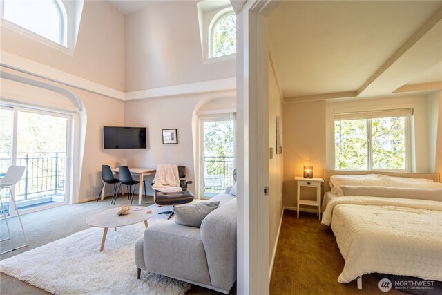 425 Vine St Unit 708, Seattle, WA 98121 - bedroom with access to exterior, carpet flooring, multiple windows, a towering ceiling, and baseboards