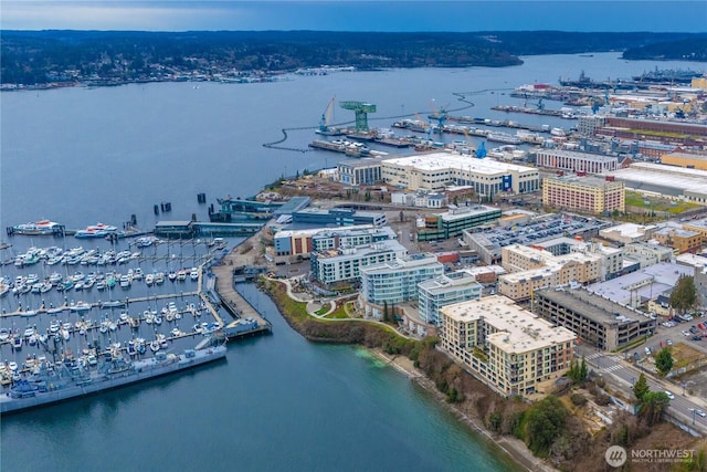 bird's eye view with a water view and a city view