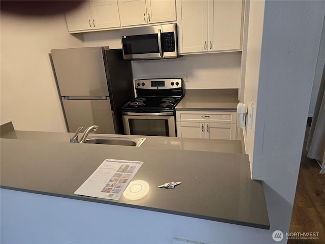 kitchen featuring white cabinetry, appliances with stainless steel finishes, dark wood-style flooring, and a sink