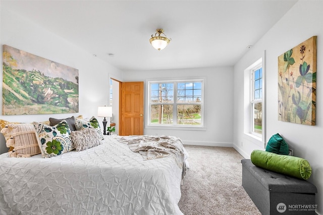 bedroom with baseboards and carpet floors