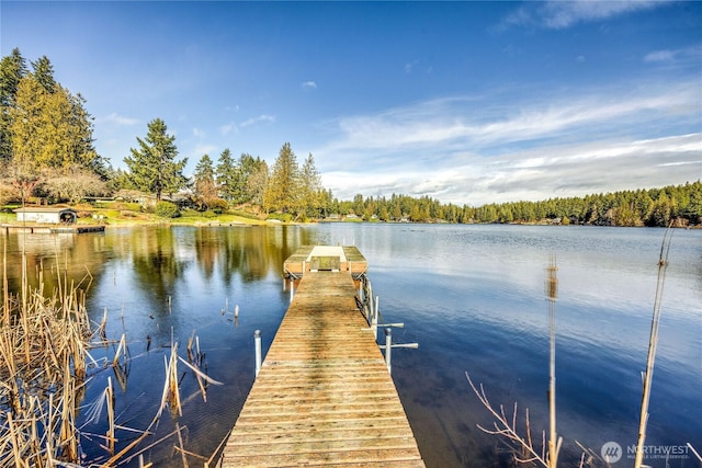 view of dock featuring a water view