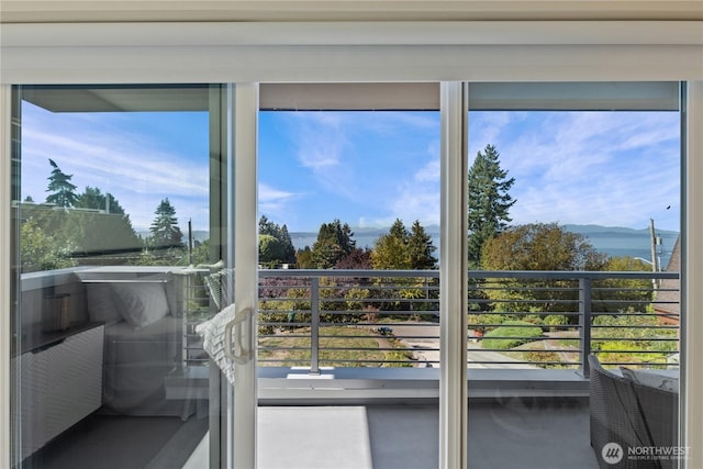 doorway to outside featuring plenty of natural light