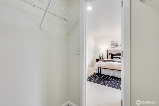 spacious closet with carpet